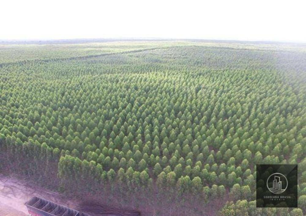 Fazenda à venda, 250000000M2 - Foto 2