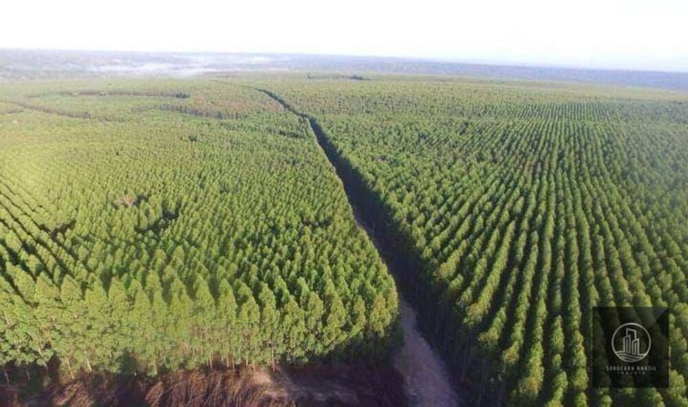 Fazenda à venda, 250000000M2 - Foto 3