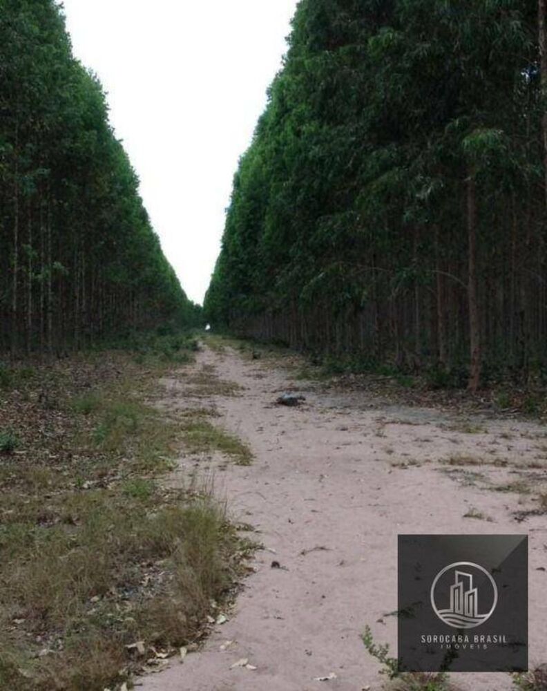 Fazenda à venda, 250000000M2 - Foto 4