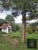 Chácara, 3 quartos, 1 hectares - Foto 2