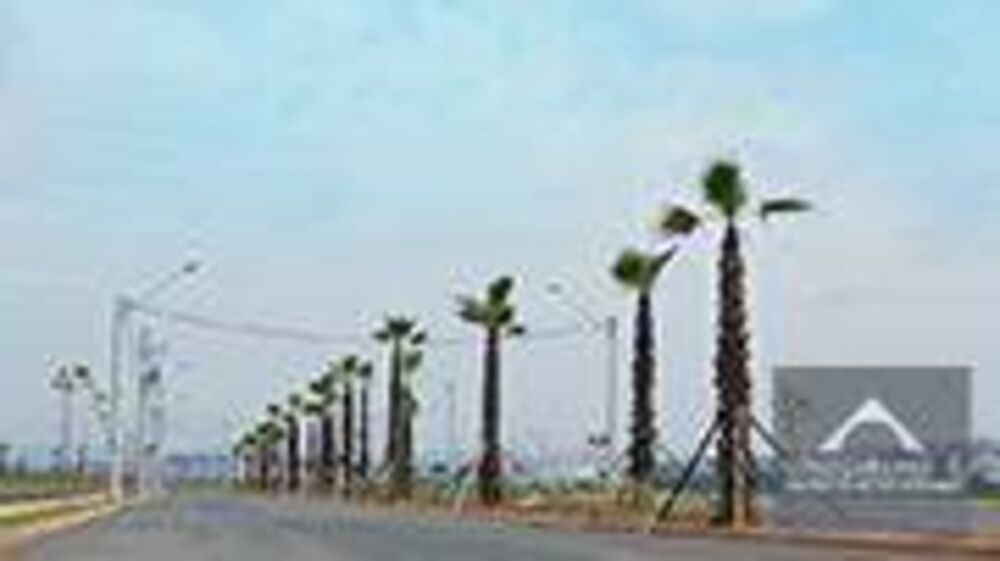 Terreno, 1000 m² - Foto 6