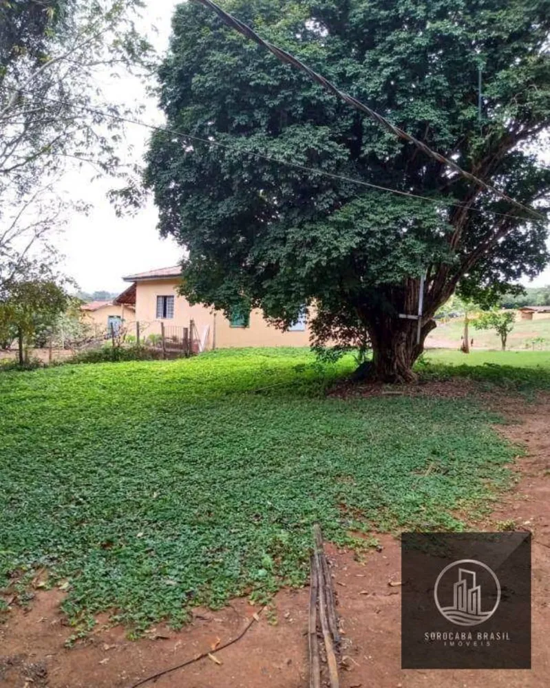 Fazenda, 1317 hectares - Foto 2