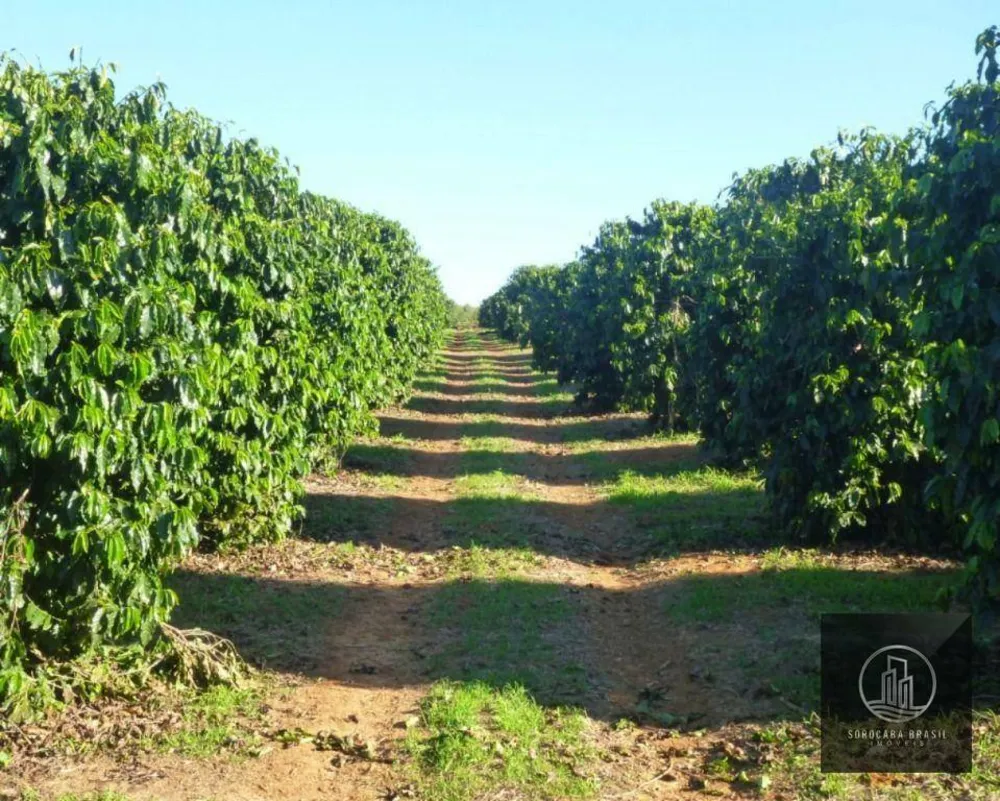 Fazenda, 1317 hectares - Foto 4