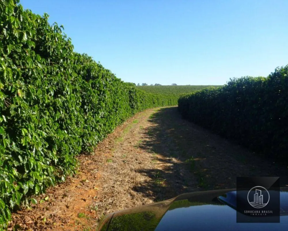 Fazenda, 1317 hectares - Foto 3
