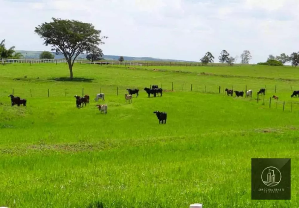 Fazenda à venda, 7671400M2 - Foto 2