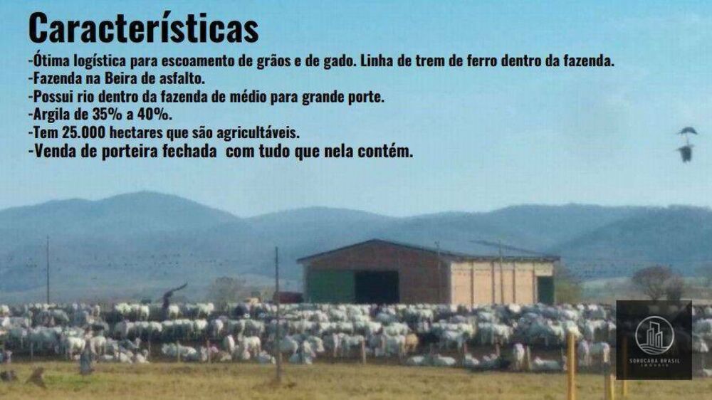 Fazenda à venda, 780000000M2 - Foto 8