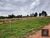 Terreno, 355 m² - Foto 2