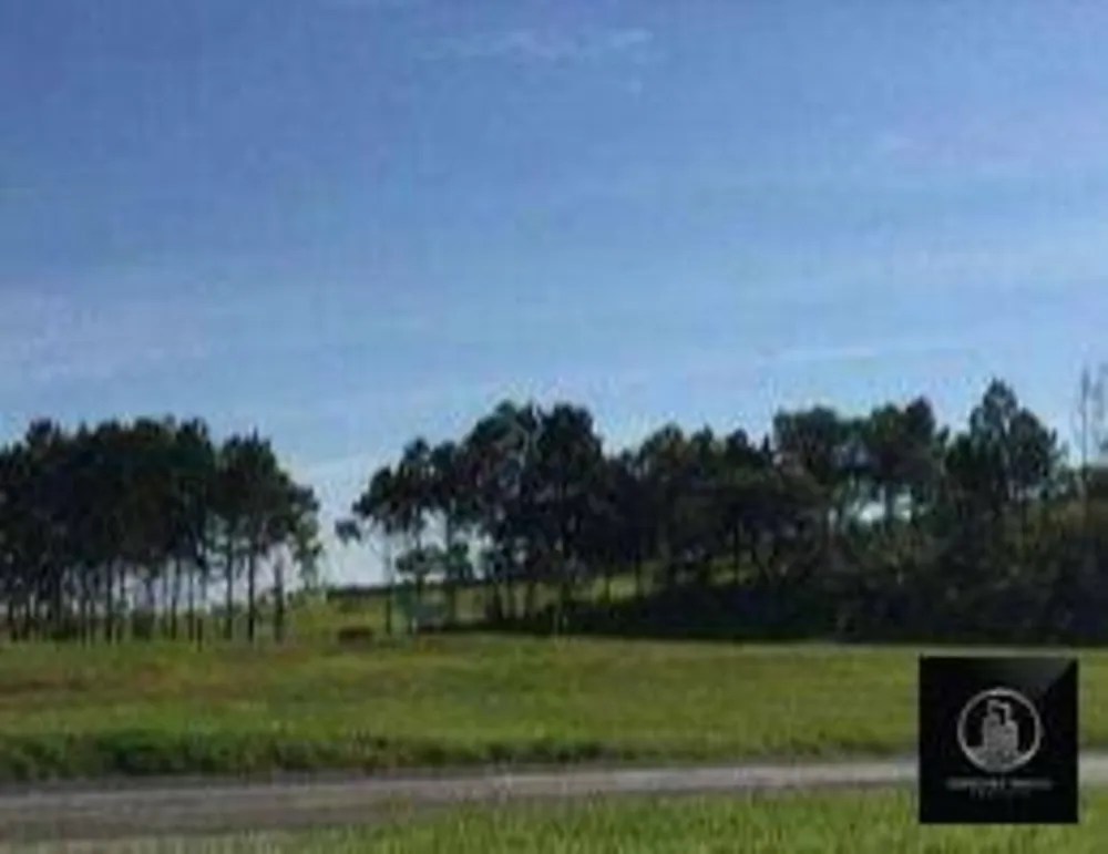 Terreno, 1 hectares - Foto 2
