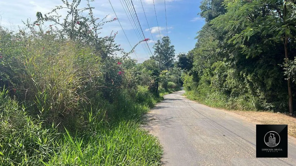 Terreno, 3 hectares - Foto 1