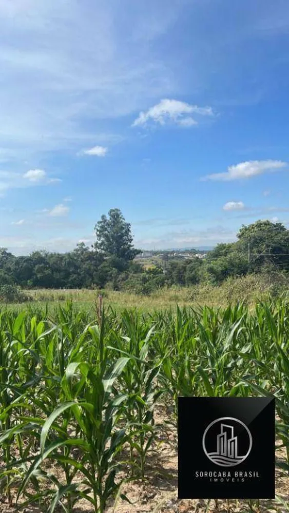 Terreno, 3 hectares - Foto 4