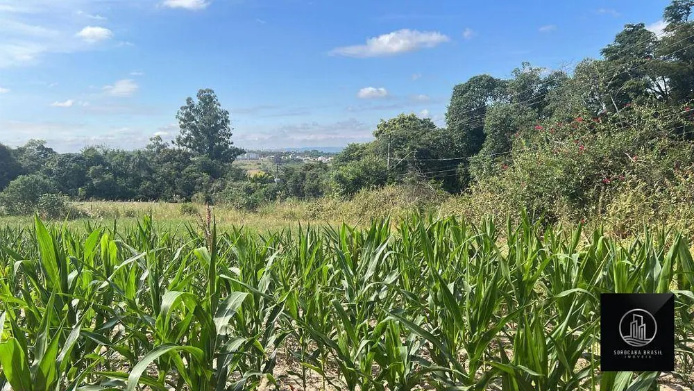 Terreno, 3 hectares - Foto 2