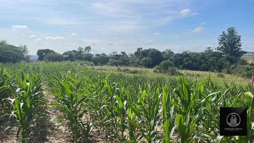 Terreno, 3 hectares - Foto 3