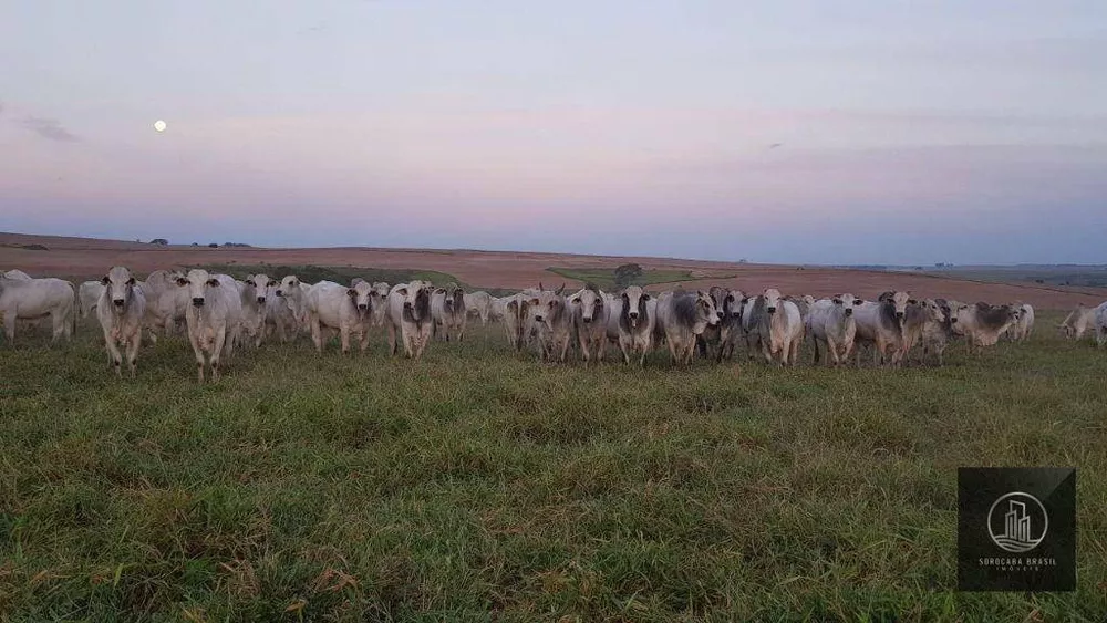 Fazenda à venda, 26136000M2 - Foto 1