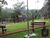 Casa, 3 quartos, 600 m² - Foto 2