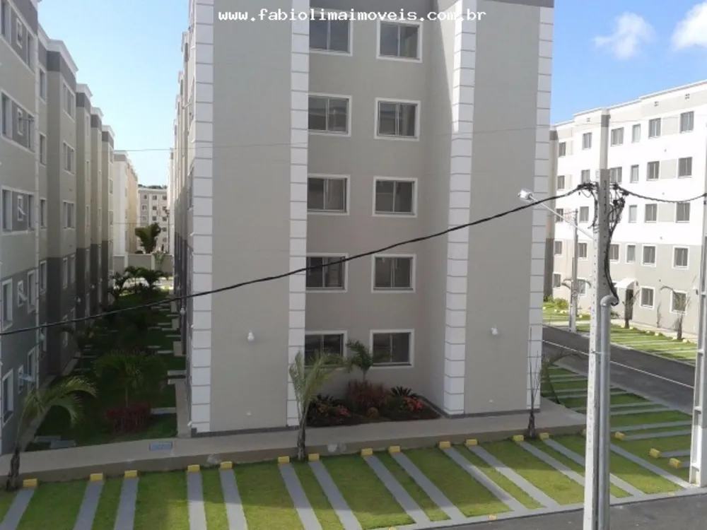 Apartamento, 2 quartos, 43 m² - Foto 12