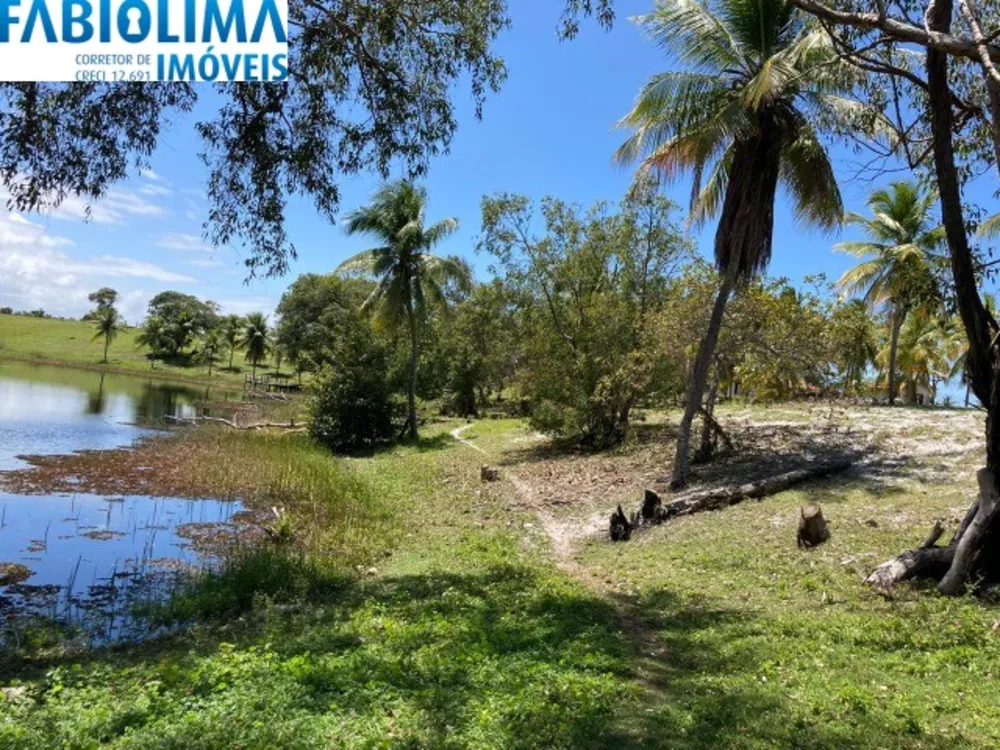 Terreno, 12 hectares - Foto 3