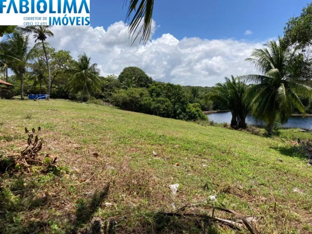 Terreno, 12 hectares - Foto 2