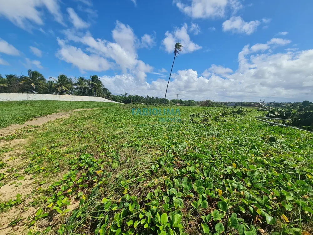 Terreno, 2000 m² - Foto 5