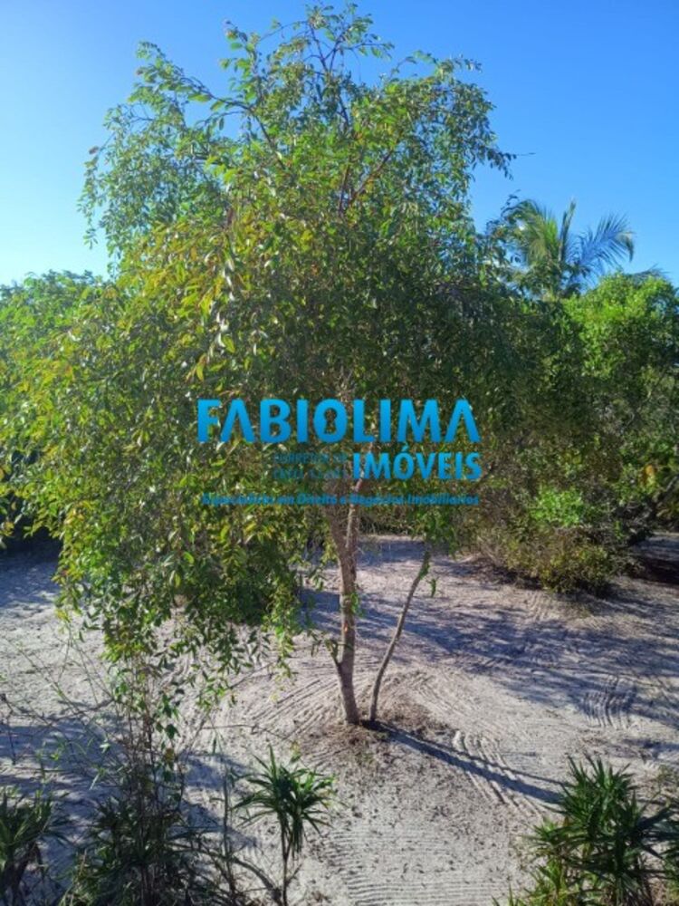 Loteamento e Condomínio - Foto 5