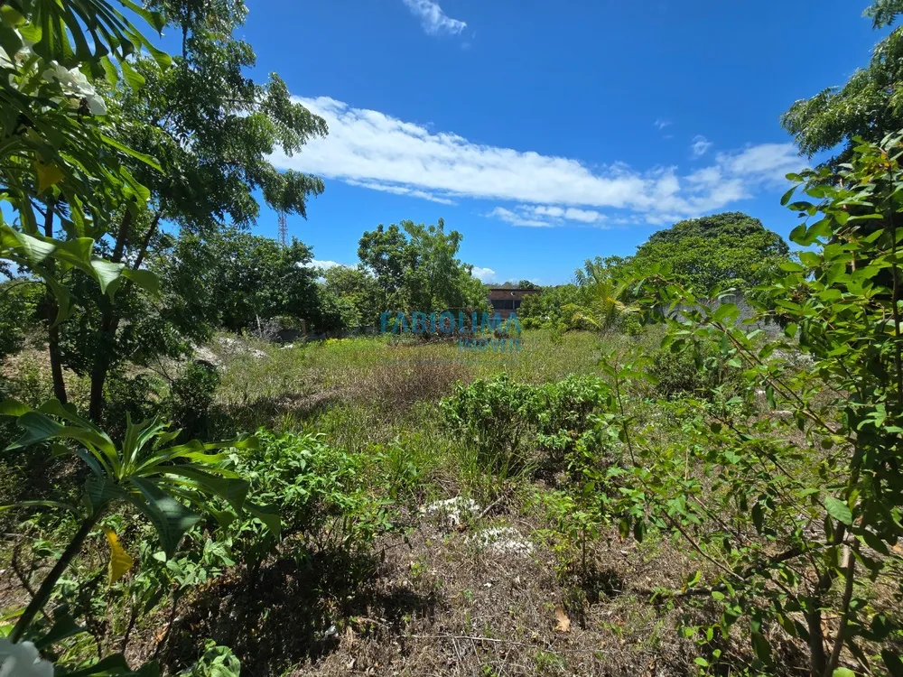 Terreno, 1000 m² - Foto 5