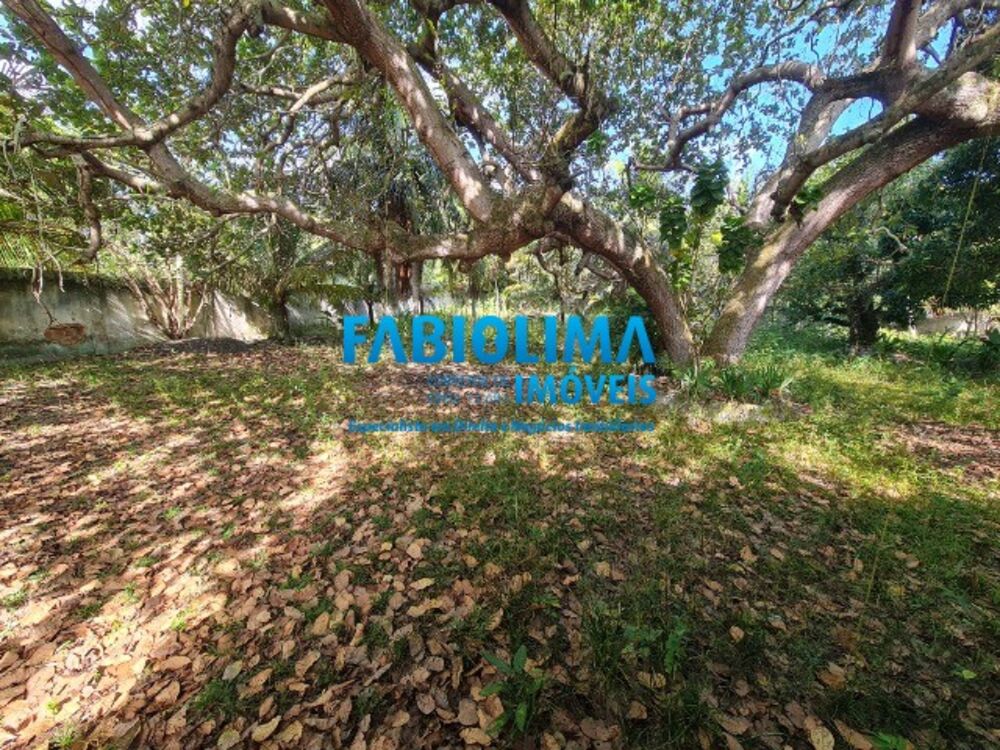 Terreno, 3000 m² - Foto 6