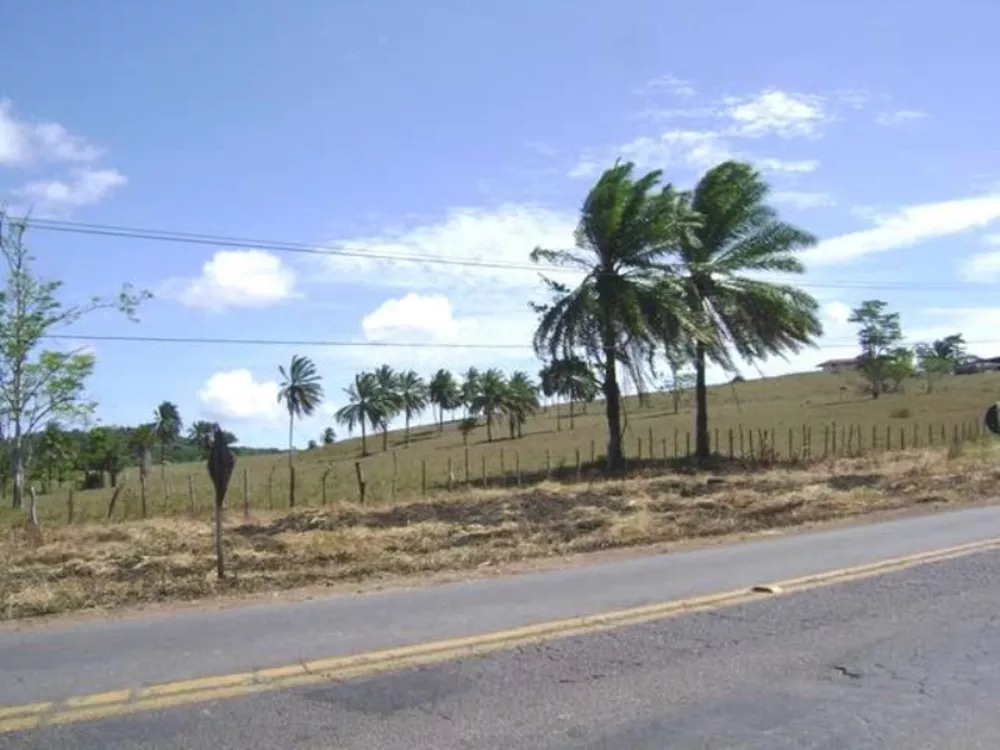 Terreno, 85 hectares - Foto 4