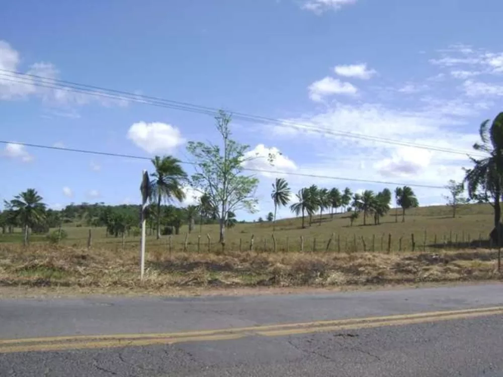 Terreno, 85 hectares - Foto 3