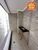 Apartamento, 2 quartos, 61 m² - Foto 3