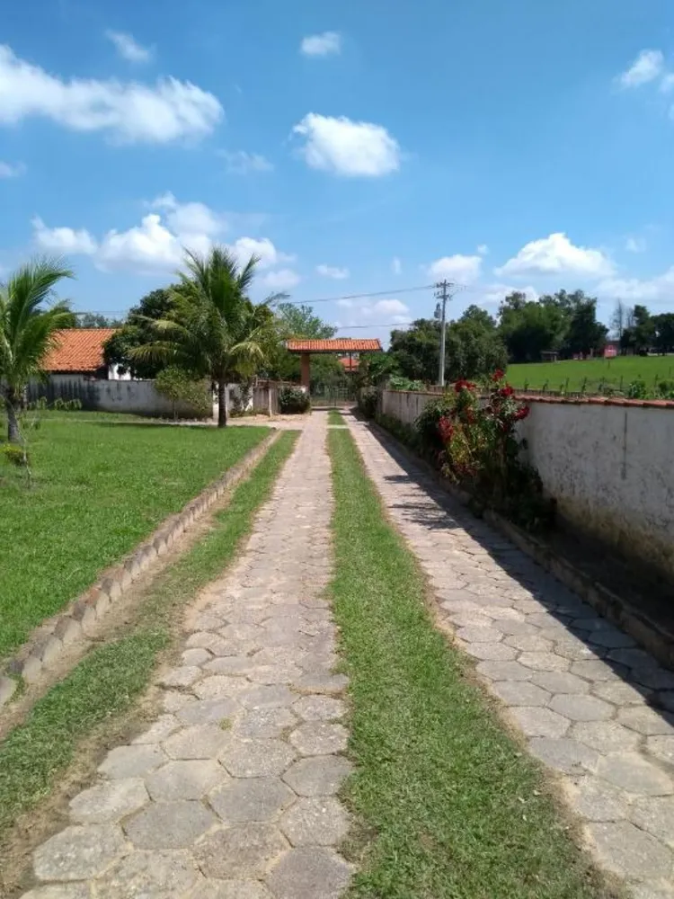 Fazenda, 87 hectares - Foto 4
