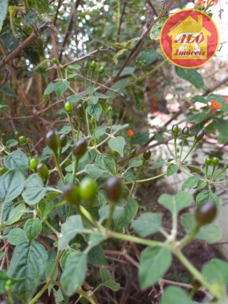 Casa, 3 quartos, 280 m² - Foto 18