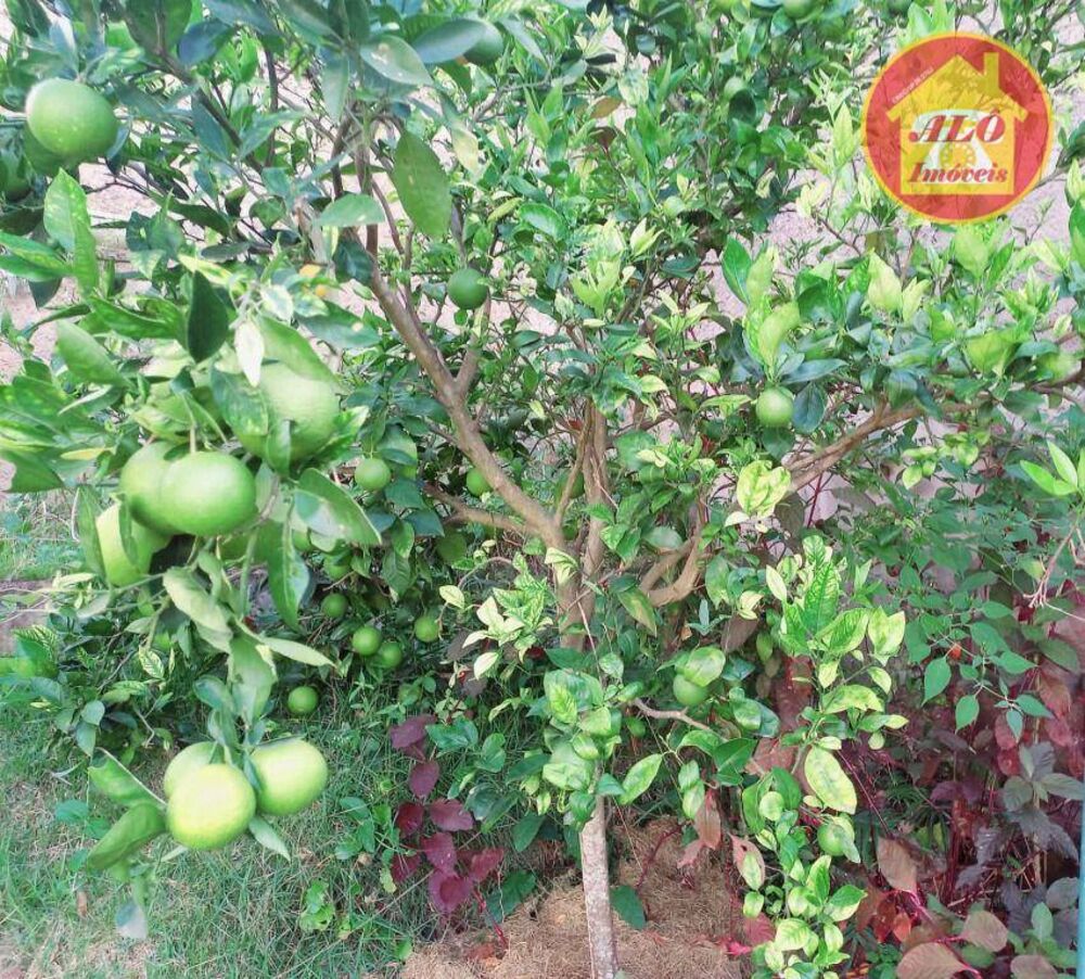 Casa, 3 quartos, 280 m² - Foto 14