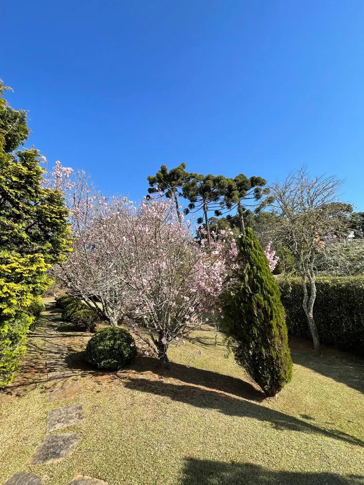 Terreno, 1700 m² - Foto 2