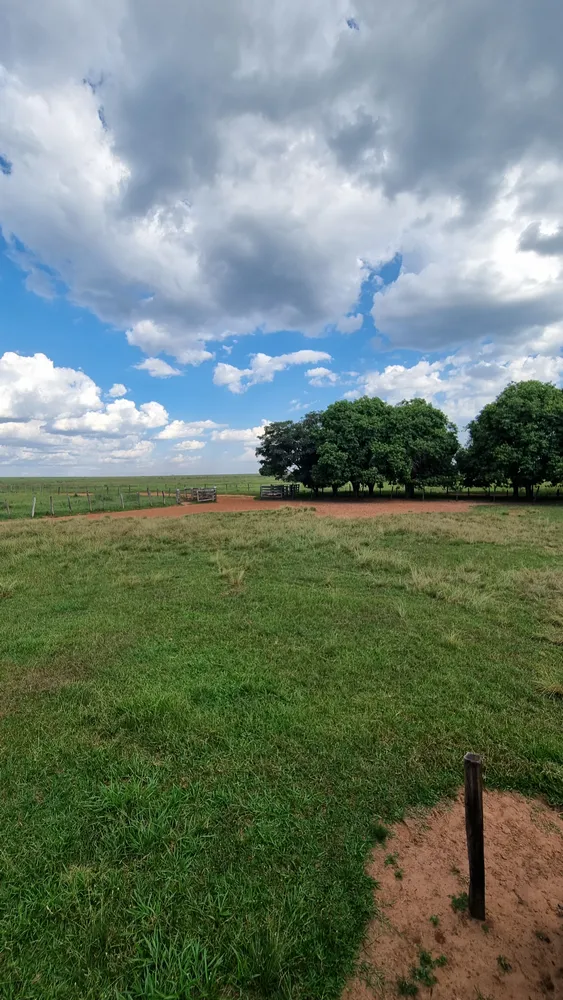Terreno, 1834 hectares - Foto 1