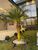 Casa, 3 quartos, 125 m² - Foto 2