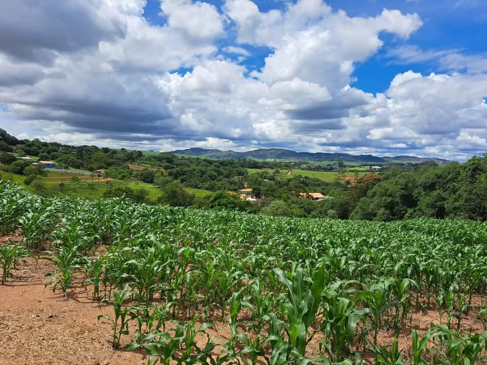 Terreno, 7 hectares - Foto 3