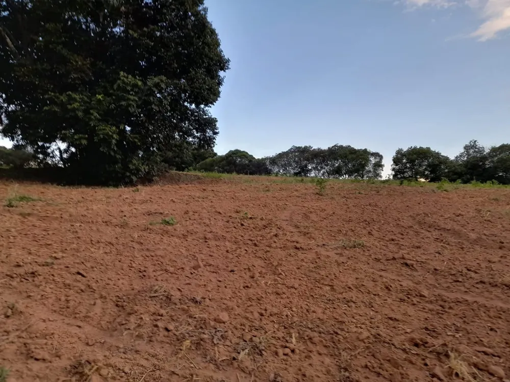 Terreno, 7 hectares - Foto 2