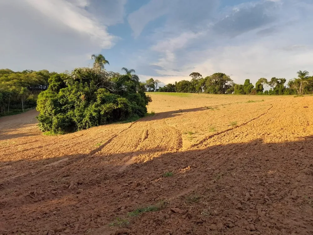 Terreno, 7 hectares - Foto 1