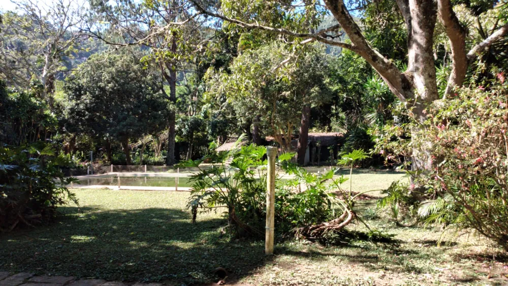Terreno, 7 hectares - Foto 2