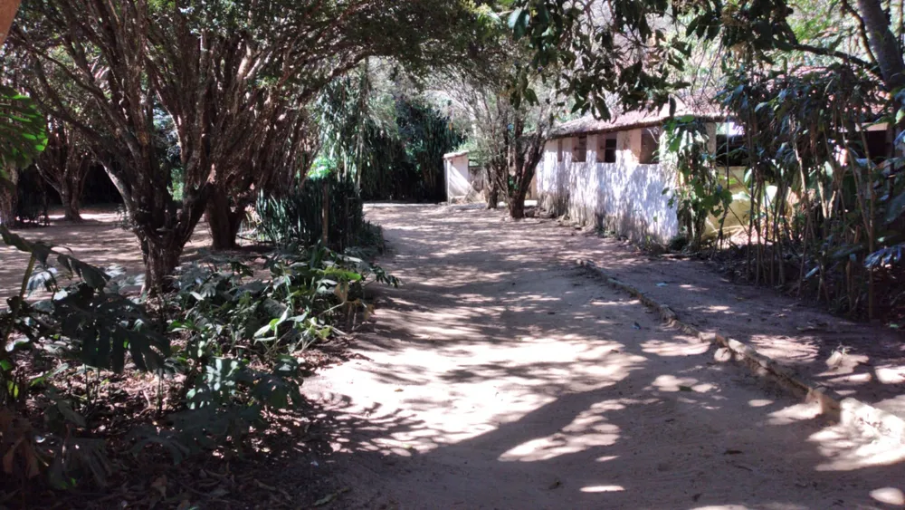Terreno, 7 hectares - Foto 4