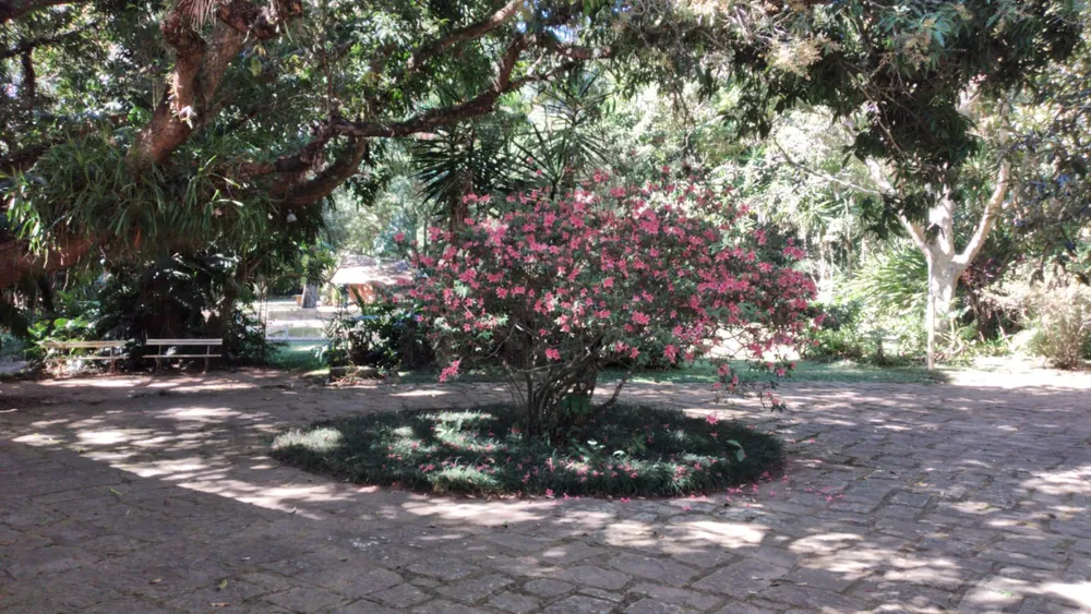 Terreno, 7 hectares - Foto 6