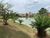 Terreno, 255 m² - Foto 21