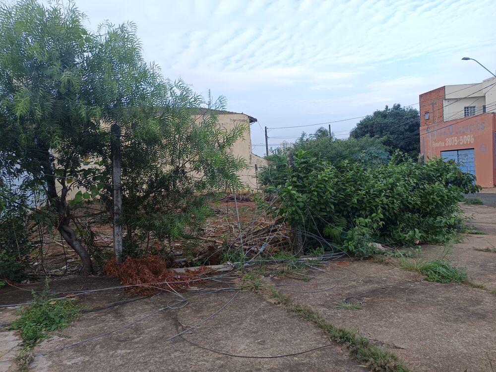 Terreno à venda, 350m² - Foto 2