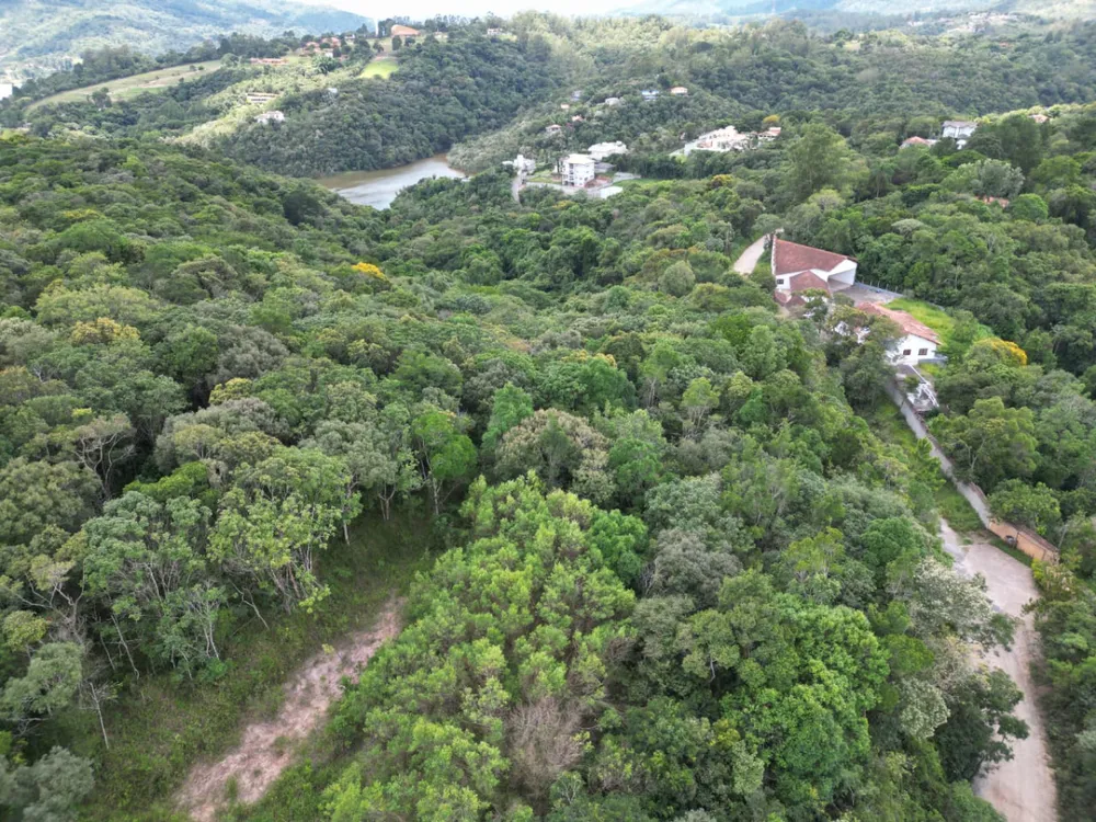 Terreno, 3 hectares - Foto 4