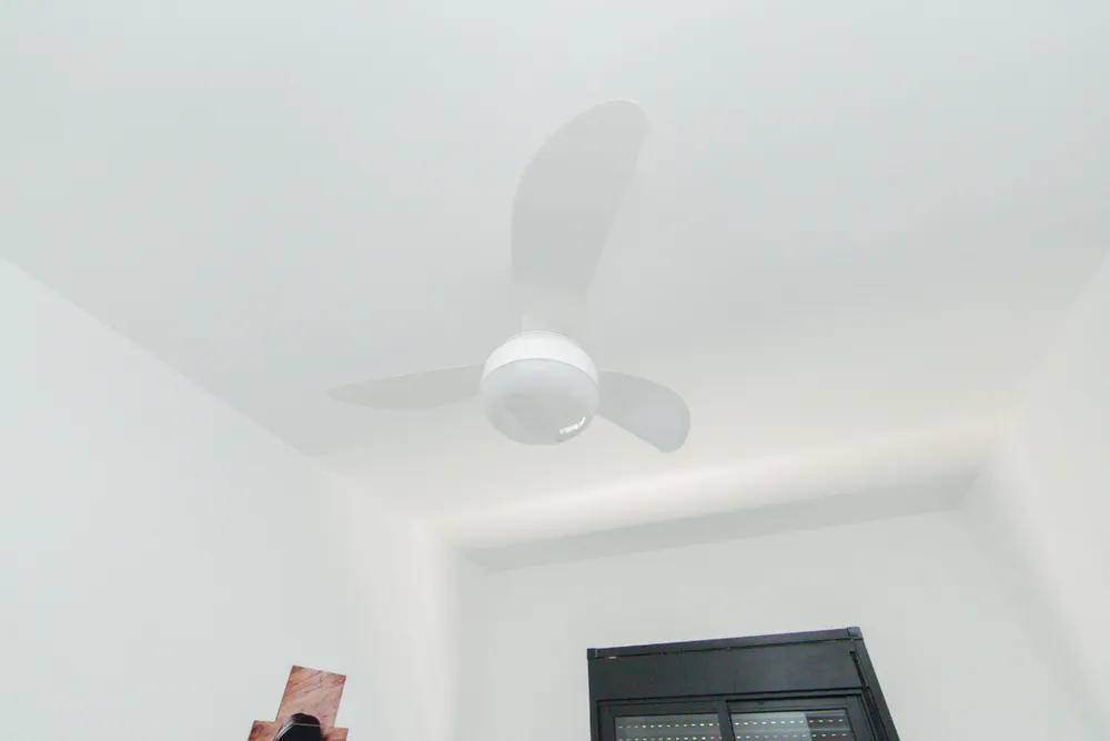 Apartamento, 2 quartos, 43 m² - Foto 2