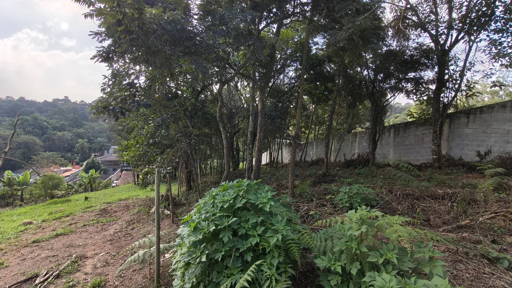 Terreno, 650 m² - Foto 2