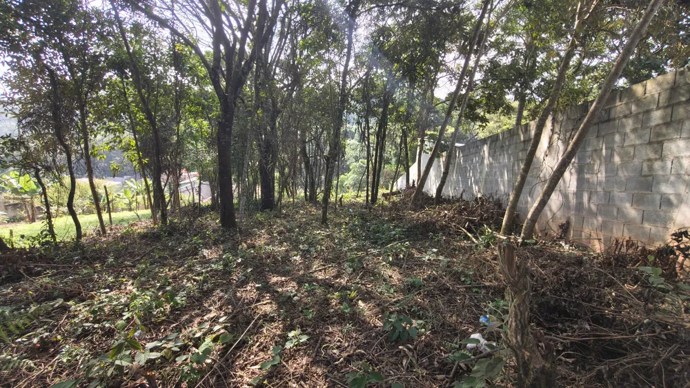 Terreno, 650 m² - Foto 3