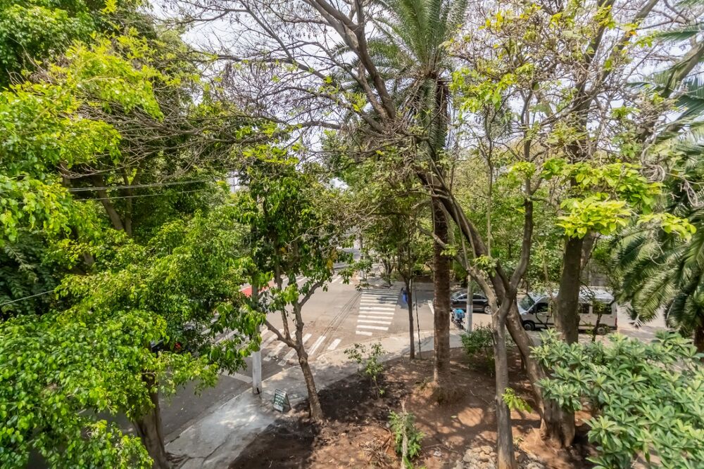 Casa, 3 quartos, 318 m² - Foto 3