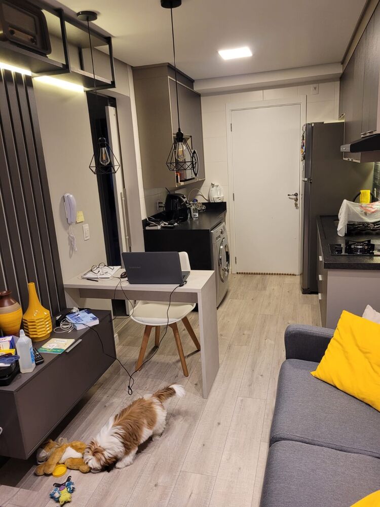 Apartamento, 1 quarto, 31 m² - Foto 7