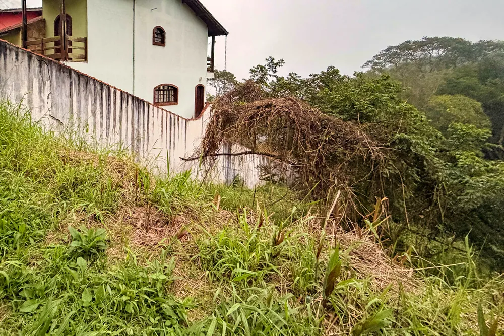 Terreno, 250 m² - Foto 1