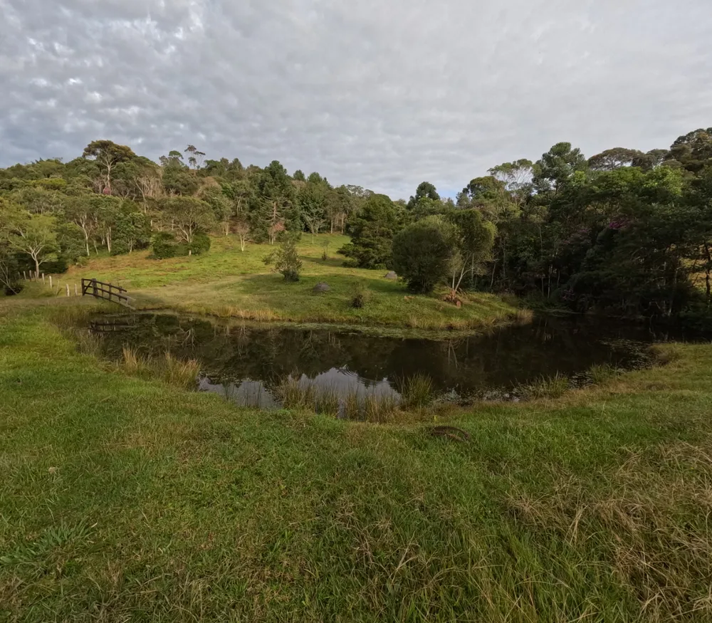 Fazenda, 97 hectares - Foto 2
